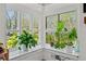Sunlit bay window with natural light and greenery at 3378 Peachtree Chase, Duluth, GA 30096