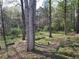 Tranquil backyard with natural setting, trees, and potential for outdoor enjoyment at 1535 Wilkes Crest Dr, Dacula, GA 30019