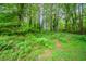 A beautiful backyard full of lush vegetation and mature trees at 1753 Thomas Ter, Decatur, GA 30032