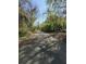 Long tree-lined driveway leading to home with lush greenery, providing privacy and charm at 3674 Canton Rd, Marietta, GA 30066