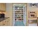 Spacious pantry with ample shelving and storage adjacent to stainless steel oven at 55 Hazelbrook Way, Acworth, GA 30101