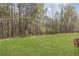 Green backyard with view of woods, with the fence line obscured by mature trees at 453 Clematis Ct, Temple, GA 30179
