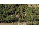 An aerial shot of a home surrounded by a green leafy forest that is very thick at 322 Kibbee Rd, Mcdonough, GA 30252