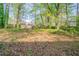 A spacious backyard at 5255 Biffle Downs Rd, Stone Mountain, GA 30088