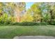 Lush green backyard, offering a private and serene outdoor space with mature trees at 870 Chapman Cir, Stone Mountain, GA 30088