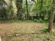 Overgrown backyard with potential for landscaping and outdoor enjoyment at 1142 Windsor Sw St, Atlanta, GA 30310
