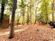 Community of homes surrounded by trees and natural landscape at 5806 Par Four Ct, Lithonia, GA 30038