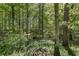 View of the level, wooded, and fenced backyard, providing privacy and space at 3100 Templeton Ln, Loganville, GA 30052