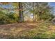 Spacious backyard with mature trees and lush greenery, providing a private outdoor space at 4975 Skyland Pkwy, Cumming, GA 30028