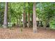 Charming home with a natural stone front and lush green surroundings at 1019 James Madison Ct, Mcdonough, GA 30253