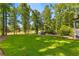 View of lush green backyard with mature trees and serene landscaping at 450 Birkdale Dr, Fayetteville, GA 30215