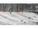 Winter scene of a community park with families enjoying sledding down a snow-covered hill at 9415 Martin Rd, Roswell, GA 30076