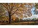 A beautiful autumn view of the neighborhood with golden trees and a wooden fence under a blue sky at 9415 Martin Rd, Roswell, GA 30076
