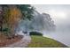 A deer stands on a lakeside path shrouded in mist at 9415 Martin Rd, Roswell, GA 30076