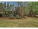 Lush backyard showcasing mature trees and landscaping, creating a private oasis at 800 Flathead Pass, Suwanee, GA 30024