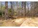 Landscaped backyard featuring trees, shrubbery, and garden features at 1545 Heatherton Rd, Dacula, GA 30019