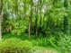 A lush green backyard is filled with beautiful mature trees and manicured shrubs at 247 Old Timber Rd, Lawrenceville, GA 30046