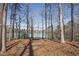 Backyard with playground next to the lake at 2674 Hosanna Dr, Powder Springs, GA 30127