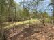 View of the back of the property showing trees and foliage at 302 Chattahoochee Way, Woodstock, GA 30188