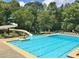 Large community pool with a slide, lounge chairs, and mature trees at 155 Woodcreek Ln, Fayetteville, GA 30215