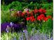 Colorful garden with an array of blooming flowers and green foliage at 2100 West Wesley Rd, Atlanta, GA 30327