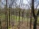 Lush backyard view through the trees of the neighboring property with an open grass area at 85 Cliffside Crossing, Atlanta, GA 30350