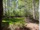 Overlook of a lush, green backyard surrounded by mature trees, offering a serene and private setting at 11770 Ashwick Pl, Johns Creek, GA 30005