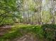 Lush green backyard with mature trees, offering a private and tranquil outdoor space at 11770 Ashwick Pl, Johns Creek, GA 30005