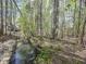 Tranquil view of a creek flowing through a wooded area with mature trees, a natural setting at 11770 Ashwick Pl, Johns Creek, GA 30005