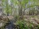 Scenic view of a creek with natural rock formations and lush greenery alongside mature trees at 11770 Ashwick Pl, Johns Creek, GA 30005