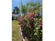 Beautiful landscaping featuring vibrant pink roses and lush greenery enhances the curb appeal at 2220 Wellington Cir, Lithonia, GA 30058