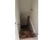 Carpeted stairs leading to a possibly finished or unfinished basement at 203 Sea Marsh Ct, Fayetteville, GA 30215