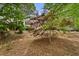An expansive backyard with mature landscaping and a variety of tree and shrub species at 3646 Sope Creek Farm Se, Marietta, GA 30067