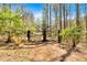 Ornate driveway gate featuring a unique tree design, set amidst the natural beauty of the surrounding woods at 481 Patillo Rd, Stockbridge, GA 30281