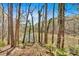 Scenic view of a peaceful lake framed by towering trees, offering a serene and tranquil outdoor experience at 481 Patillo Rd, Stockbridge, GA 30281
