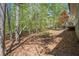 Wooded backyard featuring mature trees and a lawn at 541 Earlvine Nw Way, Kennesaw, GA 30152
