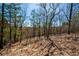 Scenic view of a wooded area with mature trees and natural ground cover offering a serene backdrop at 139 Stargaze Rdg, Canton, GA 30114