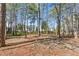 A wooded backyard with stone pavers cutting through the mulch and mature trees at 1665 Millhouse Lndg, Marietta, GA 30066
