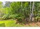 Beautifully maintained backyard with a vibrant green lawn and mature trees at 1956 Grace Arbor Ne Ct, Atlanta, GA 30329