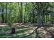 Mature trees and a well-manicured lawn surround the home's exterior, creating a peaceful and private setting at 4361 Stanley Dr, Powder Springs, GA 30127