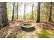 Fire pit and wooded area at 742 Hope Hollow Ln, Loganville, GA 30052