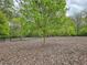 Fenced community dog park covered with wood chips, benches, and mature trees at 2168 Rock Creek Park, Decatur, GA 30033