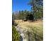 Beautiful backyard with a classic wooden fence, rocks, and lots of mature trees at 4264 Parks Ridge Dr, Snellville, GA 30039