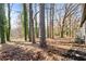 Serene backyard featuring mature trees, ivy vines, and a shady retreat at 799 Kennesaw Dr, Forest Park, GA 30297