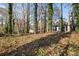 Expansive backyard with mature trees, ivy vines, and a relaxing outdoor space at 799 Kennesaw Dr, Forest Park, GA 30297