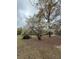 Large yard with a mature flowering tree at 6957 Mason Creek Rd, Douglasville, GA 30135