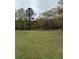 Expansive grassy yard with mature trees, creating a park-like atmosphere and natural beauty at 6957 Mason Creek Rd, Douglasville, GA 30135