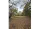 Expansive yard with mature trees and a blanket of leaves, providing a natural and private landscape at 6957 Mason Creek Rd, Douglasville, GA 30135