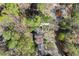 Overhead view of a property surrounded by mature trees, showcasing the home's secluded and private setting at 250 Martin Ridge Ct, Roswell, GA 30076