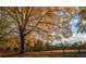 Beautiful fall landscape with a large tree, wooden fence, and view of trees in the background under a sunny sky at 250 Martin Ridge Ct, Roswell, GA 30076